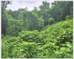  2025Ÿ��1654  �Ӿ߰��