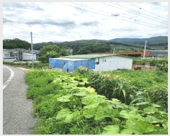  2025Ÿ��1708 ��� ������ ������ �� 205      ���Ű��