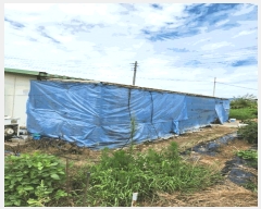  2025Ÿ��1708 ��� ������ ������ �� 205      ���Ű��