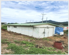  2025Ÿ��1708 ��� ������ ������ �� 205      ���Ű��