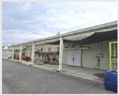  2025Ÿ��2060  â�����