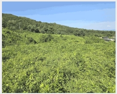  2025Ÿ��2152 ��� ������ �Ｚ�� �뼺�� 552-12      ����(��1)���