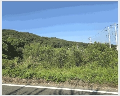  2025Ÿ��2152 ��� ������ �Ｚ�� �뼺�� 552-12      ����(��1)���