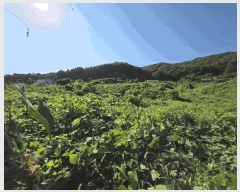  2025Ÿ��2152 ��� ������ �Ｚ�� �뼺�� 552-12      ����(��1)���