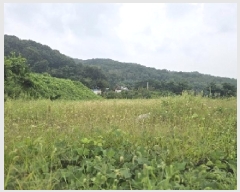  2025Ÿ��2152 ��� ������ �Ｚ�� �뼺�� 552-12      ����(��1)���