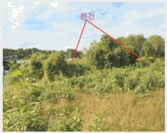  2025Ÿ��2237 ��� ������ �ݿ��� ȣ�긮 173-22      ����(�Ӿ�)���