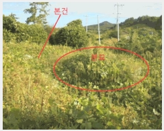  2025Ÿ��2237 ��� ������ �ݿ��� ȣ�긮 173-22      ����(�Ӿ�)���