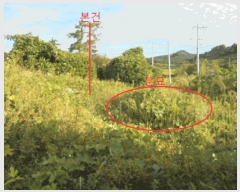  2025Ÿ��2237 ��� ������ �ݿ��� ȣ�긮 173-22      ����(�Ӿ�)���