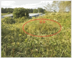  2025Ÿ��2237 ��� ������ �ݿ��� ȣ�긮 173-22      ����(�Ӿ�)���