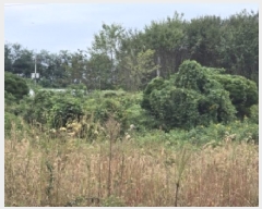  2025Ÿ��2237 ��� ������ �ݿ��� ȣ�긮 173-22      ����(�Ӿ�)���