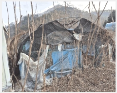  2025Ÿ30065     974-1      (1)