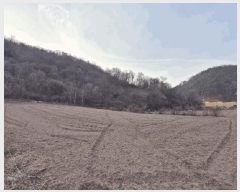  2025Ÿ30065     974-1      (1)