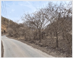  2025Ÿ30065     974-1      (1)