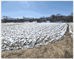  2025Ÿ30218   ̸ 帮 7-2      ()