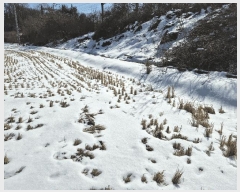  2025Ÿ30218   ̸ 帮 7-2      ()