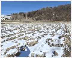  2025Ÿ30218   ̸ 帮 7-2      ()