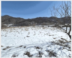  2025Ÿ30218   ̸ 帮 7-2      ()