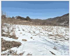  2025Ÿ30218   ̸ 帮 7-2      ()