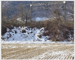  2025Ÿ30218   ̸ 帮 7-2      ()