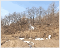  2025Ÿ30356   Ｚ  50-1      (Ӿ)