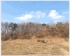  2025Ÿ30356   Ｚ  50-1      (Ӿ)