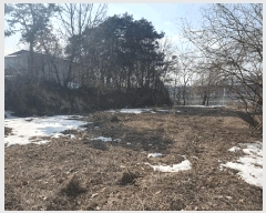  2025Ÿ30356   Ｚ  50-1      (Ӿ)