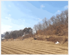  2025Ÿ30356   Ｚ  50-1      (Ӿ)