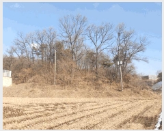  2025Ÿ30356   Ｚ  50-1      (Ӿ)