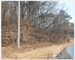  2025Ÿ30356   Ｚ  50-1      (Ӿ)