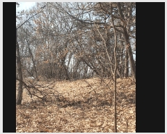  2025Ÿ30356   Ｚ  50-1      (Ӿ)