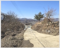  2025Ÿ��30360 ��� ���ֽ� ���Ⱥ��� �߻긮 311-3      ������