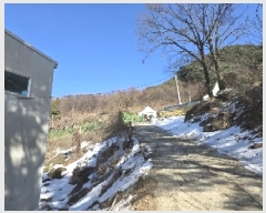  2025Ÿ��30360 ��� ���ֽ� ���Ⱥ��� �߻긮 311-3      ������