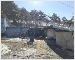  2025Ÿ��30360 ��� ���ֽ� ���Ⱥ��� �߻긮 311-3      ������