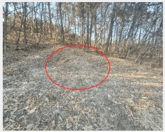  2025Ÿ��30366  �Ӿ߰��