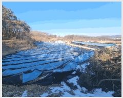  2025Ÿ��30366  �Ӿ߰��