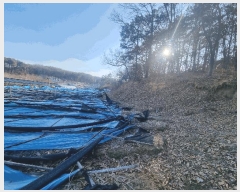  2025Ÿ��30366  �Ӿ߰��