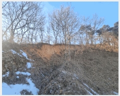  2025Ÿ��30366  �Ӿ߰��