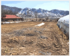  2025Ÿ30374     129-1      (1)