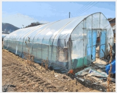  2025Ÿ30374     129-1      (1)