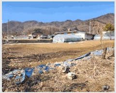  2025Ÿ30374     129-1      (1)