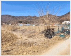  2025Ÿ30374     129-1      (1)