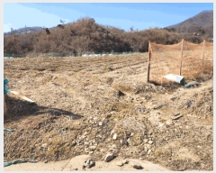  2025Ÿ30374     129-1      (1)