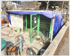  2025Ÿ30382  ֽ ĥݵ 450-1       ð