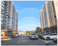  2025Ÿ30397  ֽ  1088 Ʈ 102 9904ȣ    Ʈ