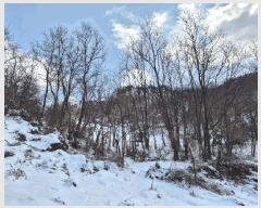  2025Ÿ��30400 ��� ���ֽ� ������ ������ 2      ����(�Ӿ�)���