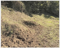  2025Ÿ��30400 ��� ���ֽ� ������ ������ 2      ����(�Ӿ�)���