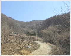  2025Ÿ30406  ֽ ̸ 긮 72-1      (Ӿ)