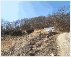  2025Ÿ��30409 ��� ������ ���ظ� ������ 176-2      ����(�Ӿ�)���