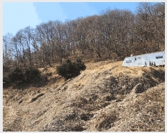  2025Ÿ��30409 ��� ������ ���ظ� ������ 176-2      ����(�Ӿ�)���