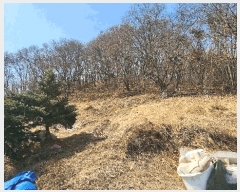  2025Ÿ��30409 ��� ������ ���ظ� ������ 176-2      ����(�Ӿ�)���